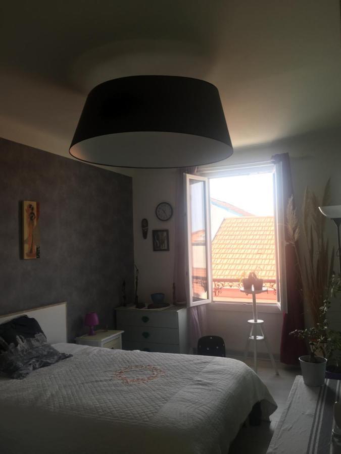 Belle Chambre Au Coeur De Bayonne Leilighet Eksteriør bilde